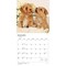 Plato; Chiots | 2027 12 x 24 Inch (Hanging) Monthly Square Wall Calendar | French Language; Category:Wall Calendars; Image:4